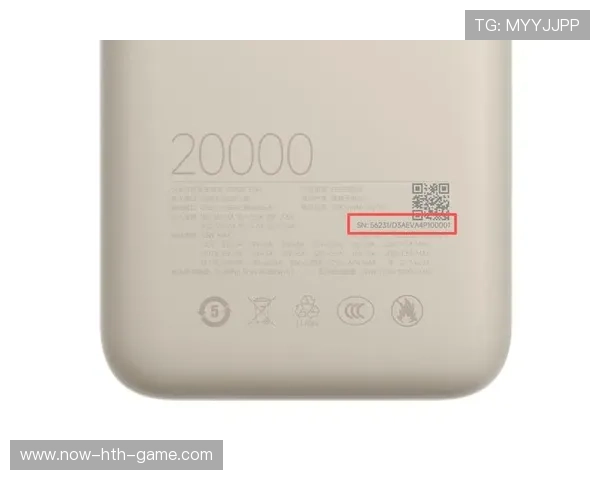 问题充电宝召回潮，对电商平台销售影响几何？，充电宝质量有问题怎么退