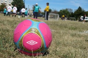 华体会体育入口-为什么伊萨克转会来到利物浦，赛季初的状态变得很差？，伊萨克身价