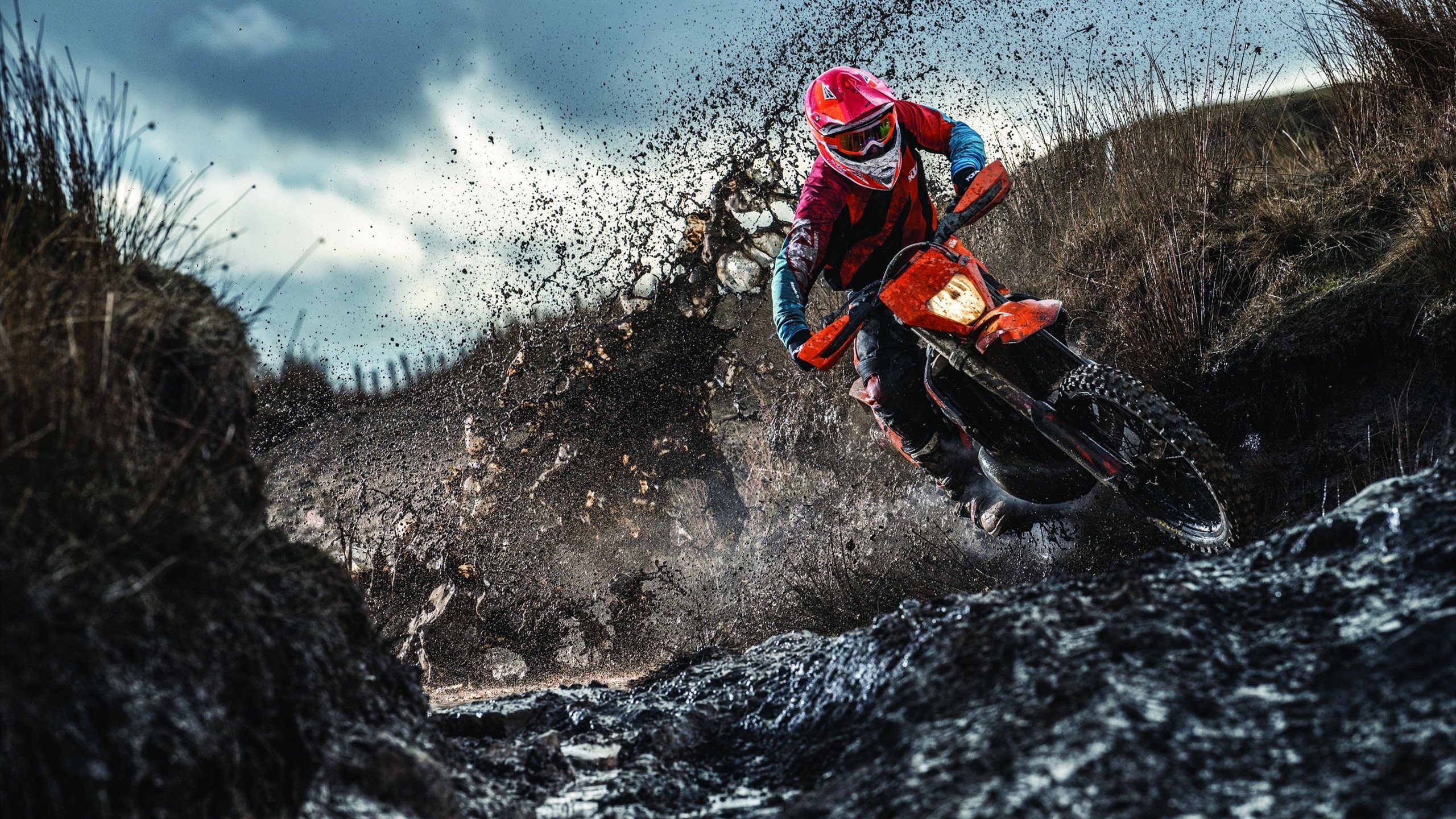 湖人队迎战强敌，豪情满满，湖人对队员