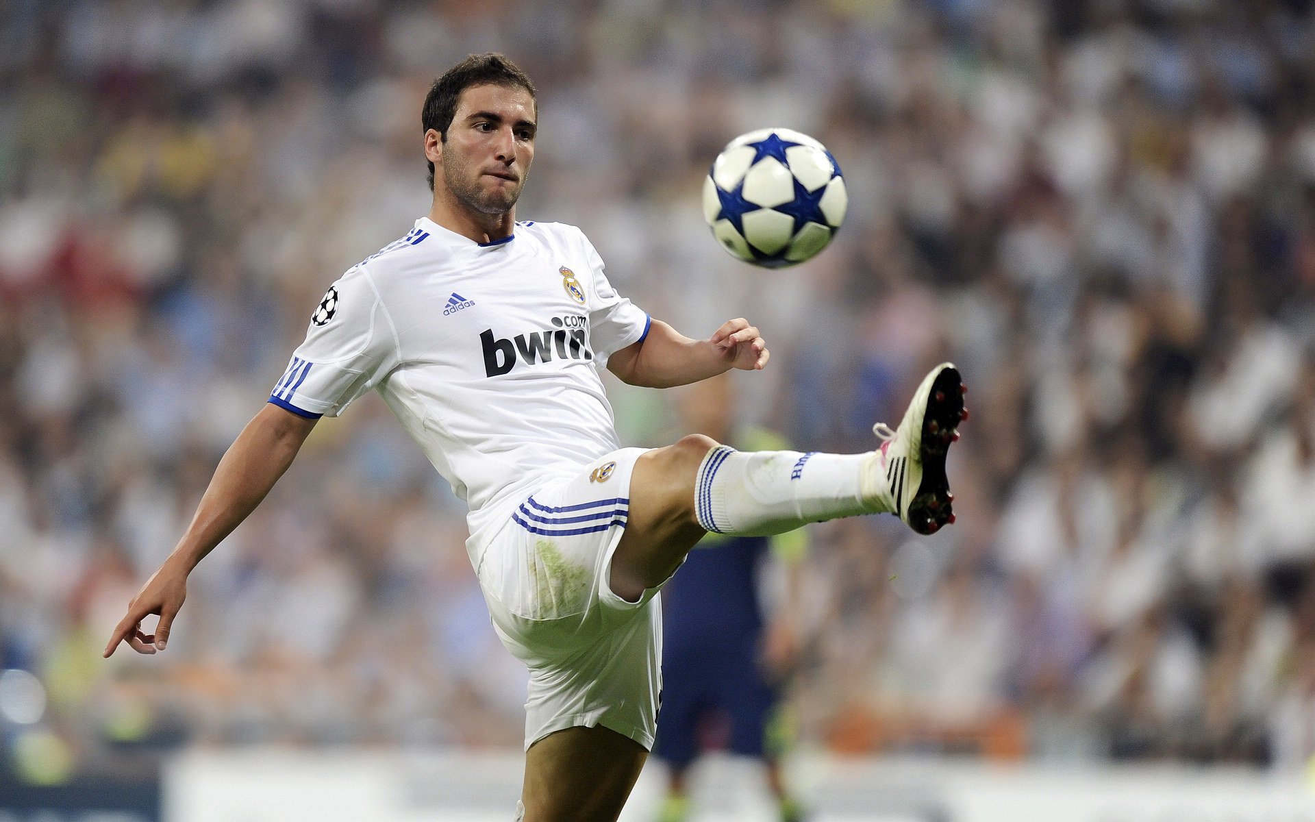 球队在赛季中段定下目标并实施阶段性计划，球队进入季后赛有什么好处